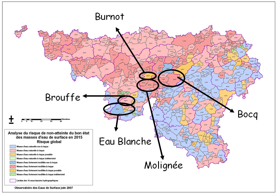 Carte des masses d'eau  risque global